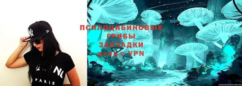 Галлюциногенные грибы Magic Shrooms  Горнозаводск 